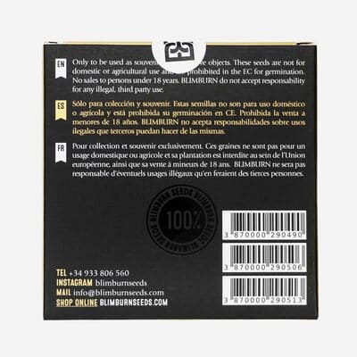 Zombie Death Fuck Samen > Blim Burn Seeds | Feminisierte Hanfsamen  |  Indica